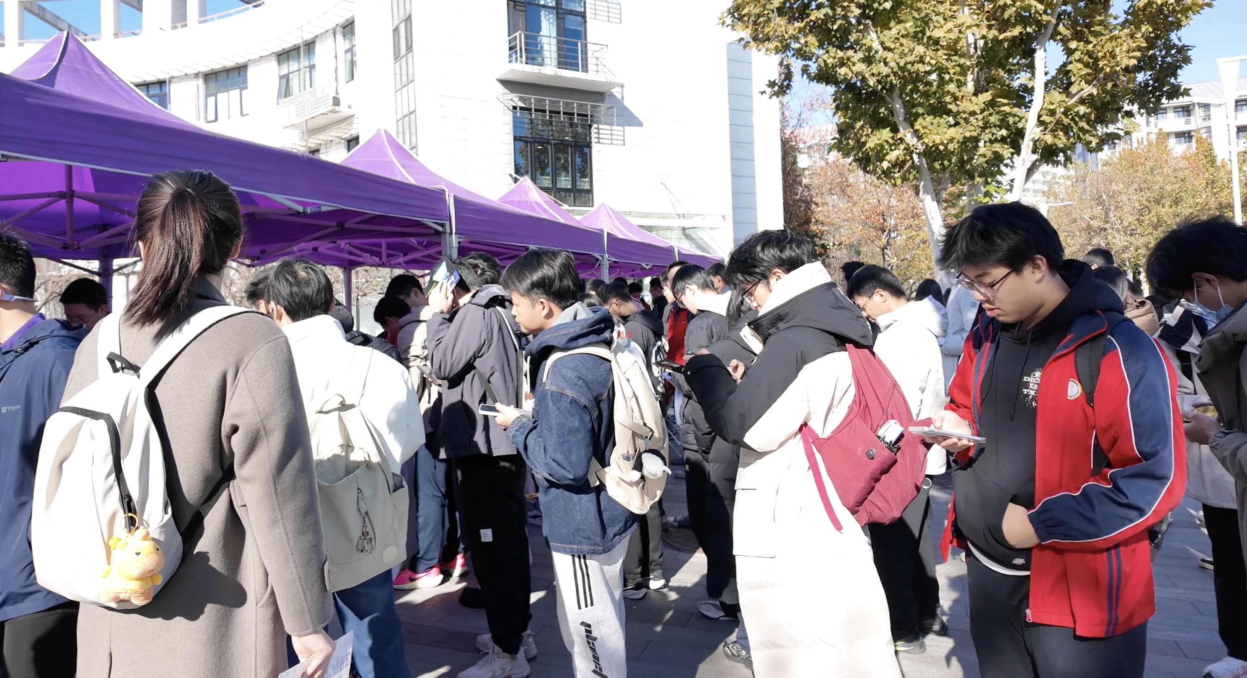 20251209134404_6937b72497fd6.jpg 4.jpg